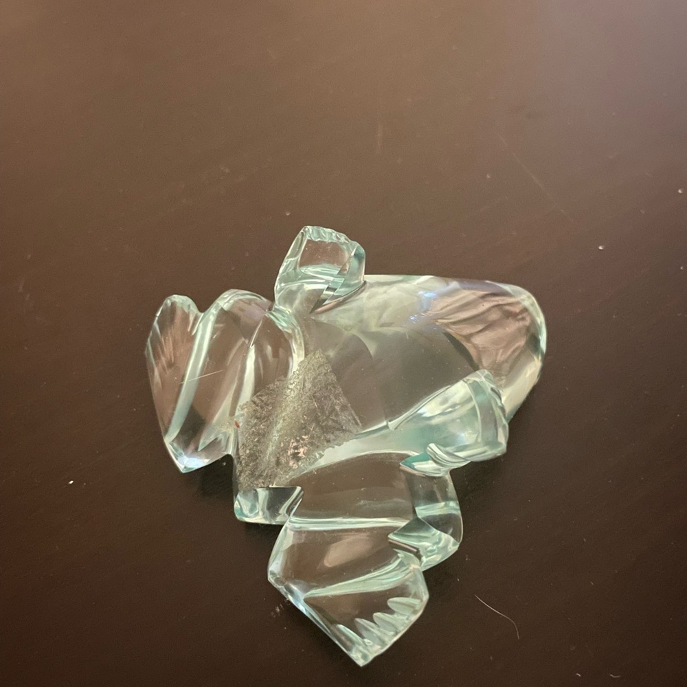 Cute Glass Frog - Picture 5 of 5